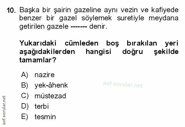 Soru 10
