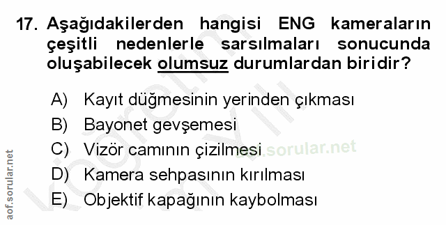 Soru 17