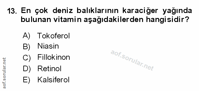 Soru 13