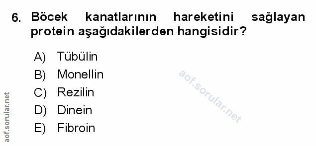 Soru 6