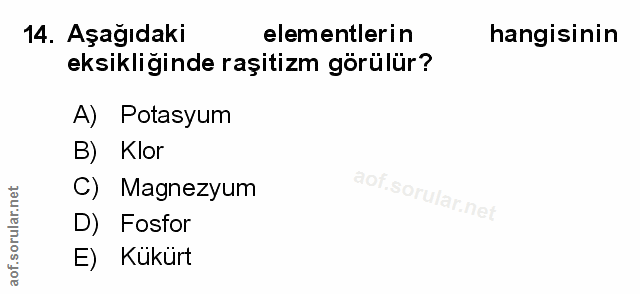 Soru 14