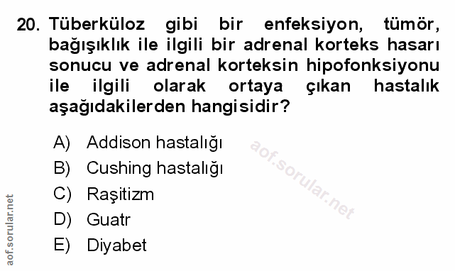 Soru 20