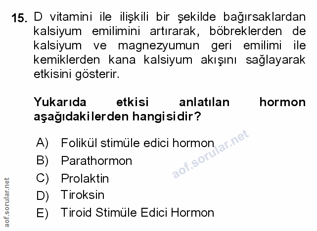 Soru 15