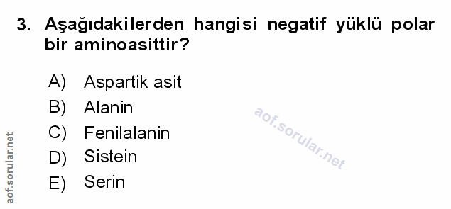 Soru 3