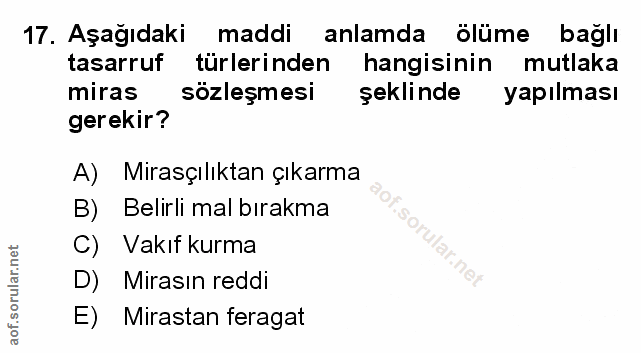 Soru 17