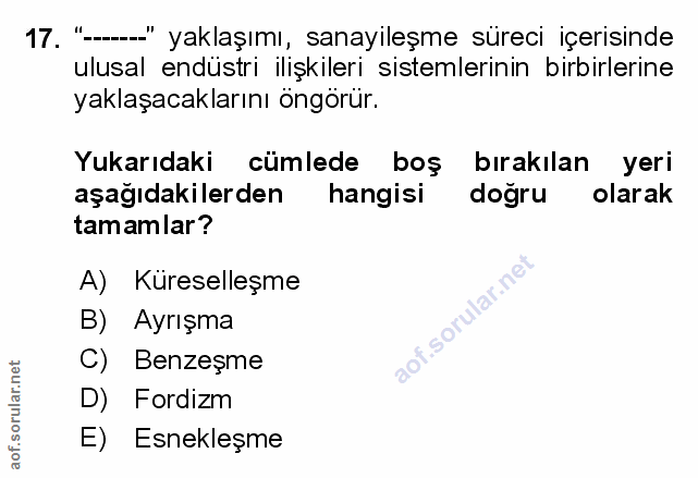 Soru 17