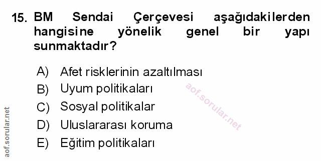 Soru 15