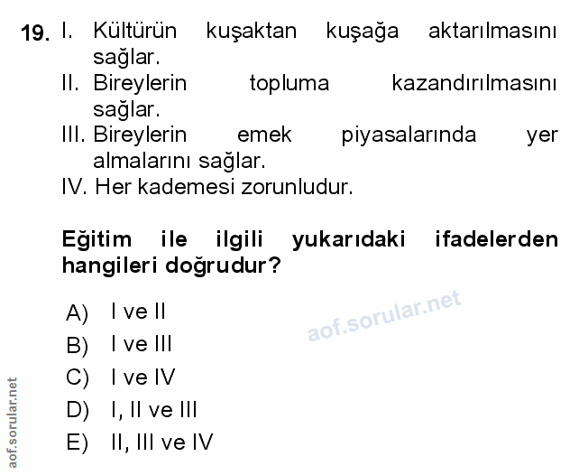 Soru 19