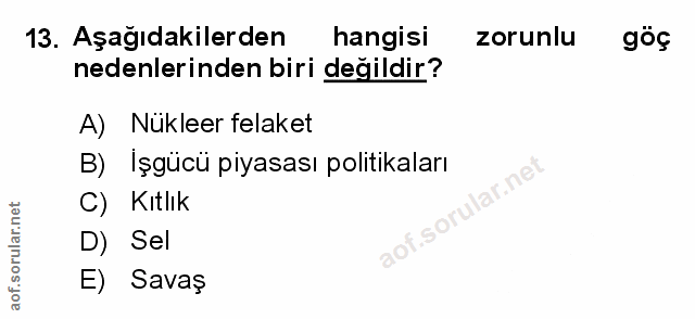 Soru 13