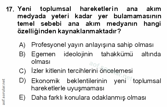 Soru 17