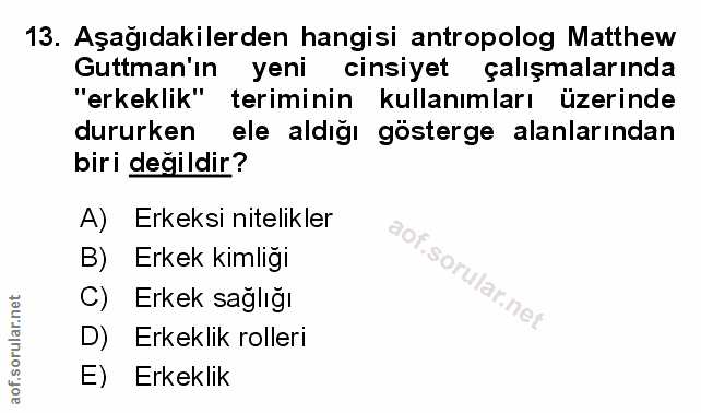 Soru 13