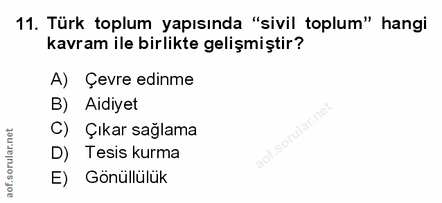 Soru 11