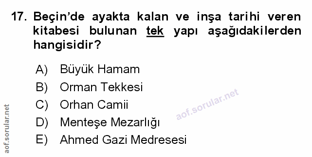 Soru 17