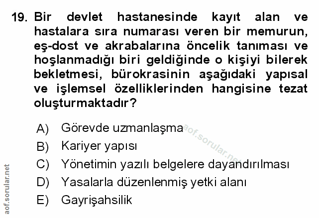 Soru 19