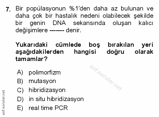 Soru 7