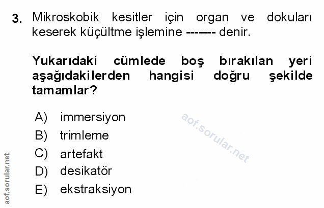 Soru 3