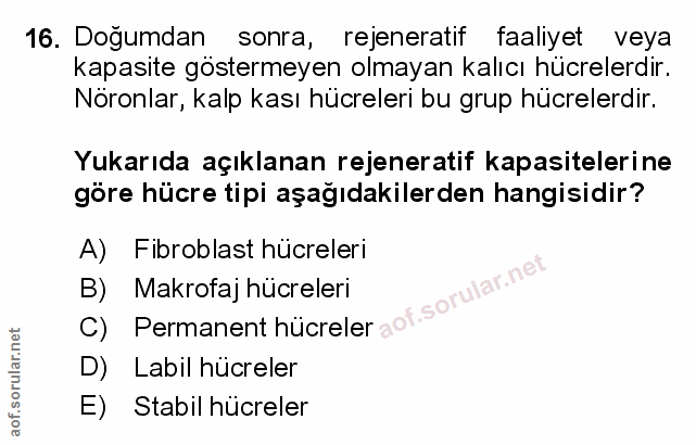Soru 16