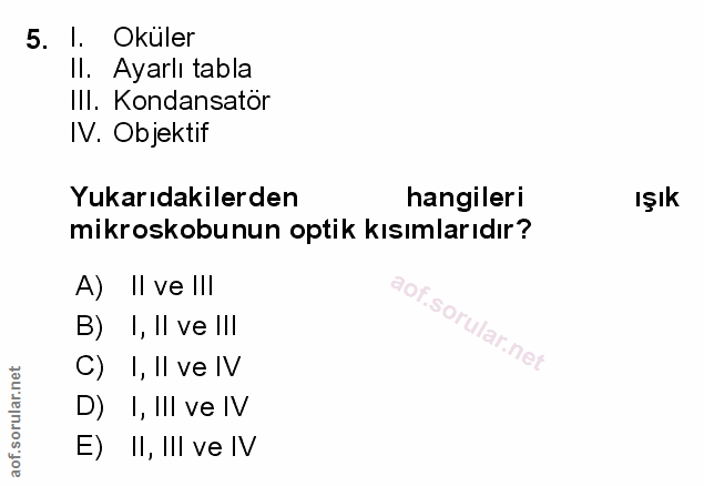 Soru 5