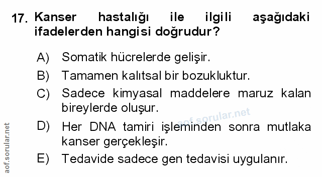 Soru 17