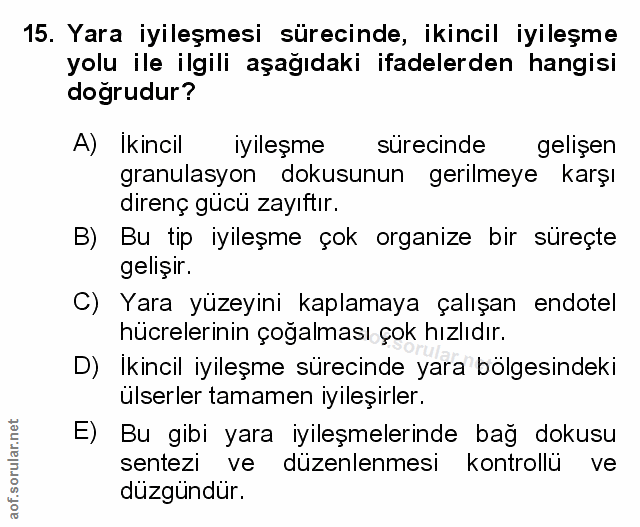 Soru 15