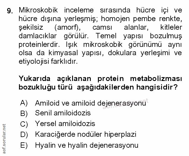 Soru 9