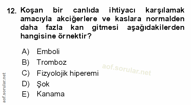 Soru 12