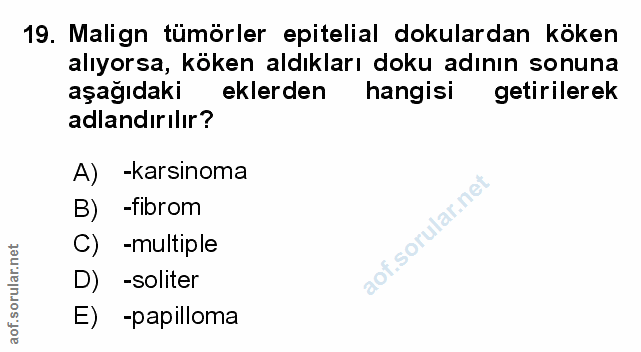 Soru 19