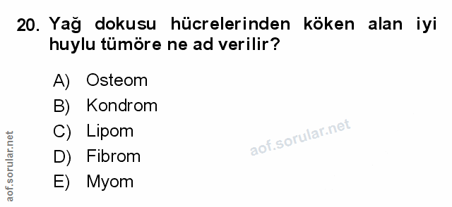 Soru 20