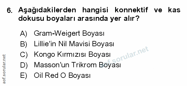 Soru 6