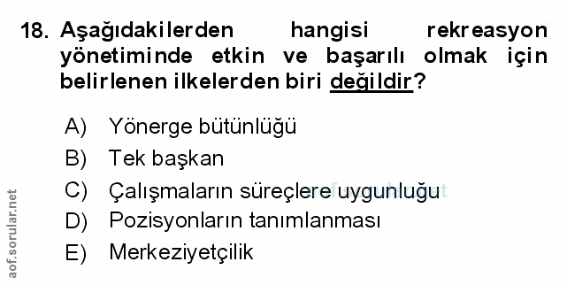 Soru 18
