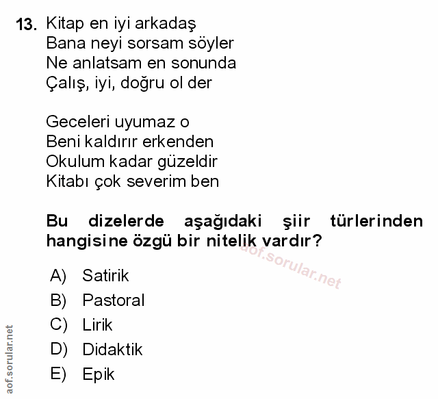 Soru 13