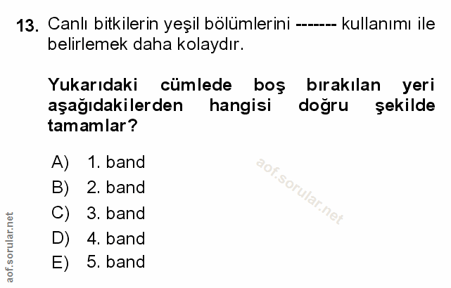 Soru 13