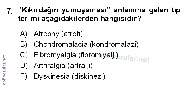 Soru 7
