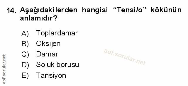 Soru 14