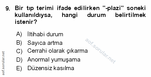 Soru 9