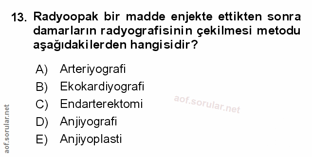 Soru 13