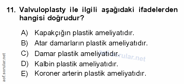 Soru 11