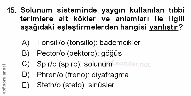 Soru 15