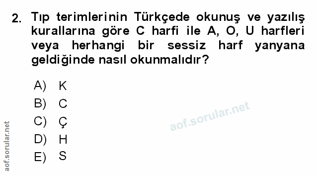 Soru 2