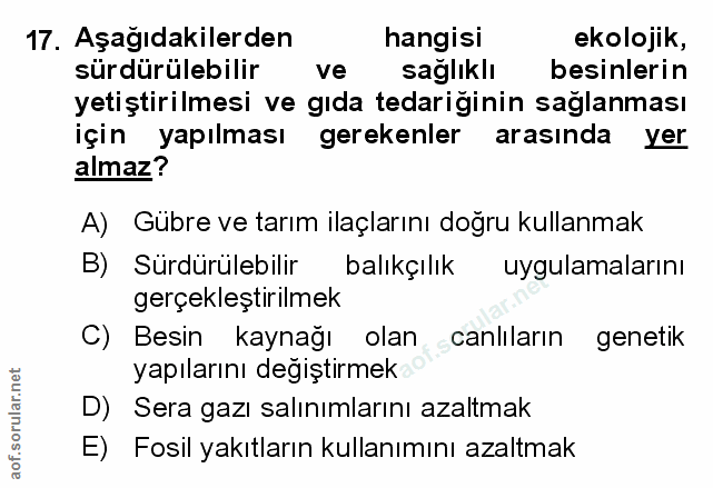 Soru 17