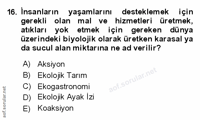Soru 16