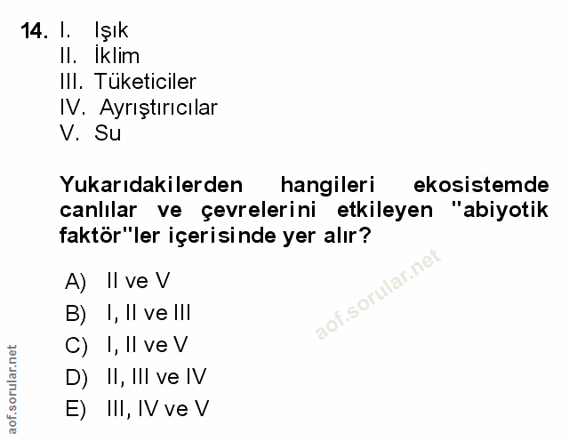 Soru 14