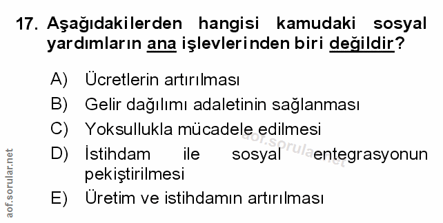 Soru 17