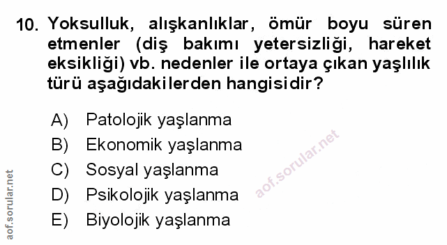 Soru 10
