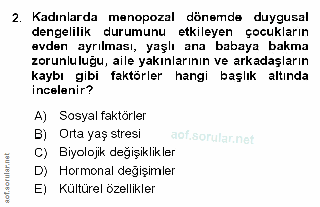 Soru 2
