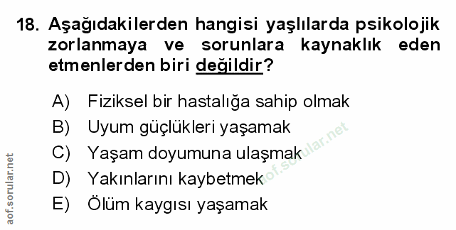 Soru 18