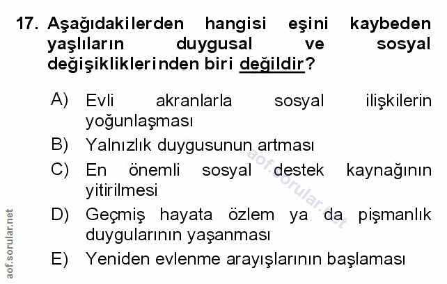 Soru 17