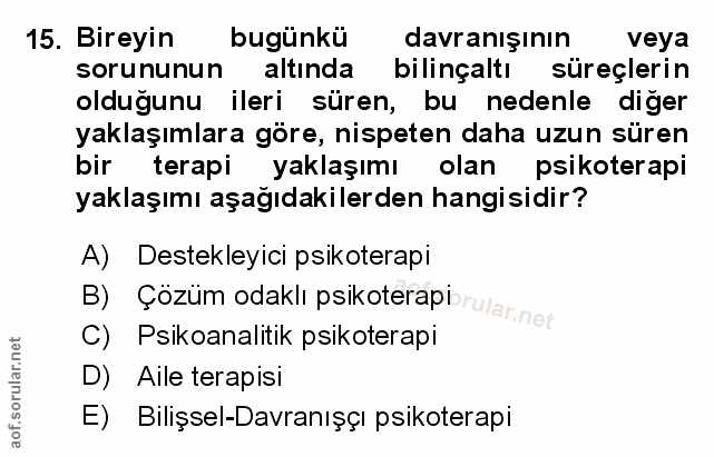 Soru 15