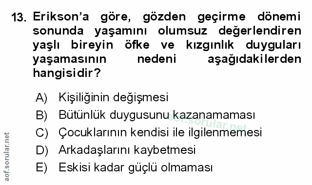Soru 13