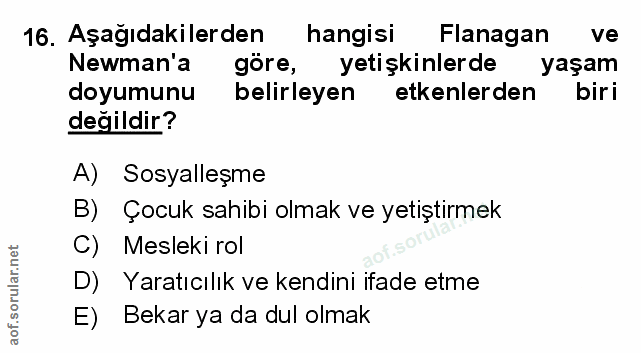 Soru 16